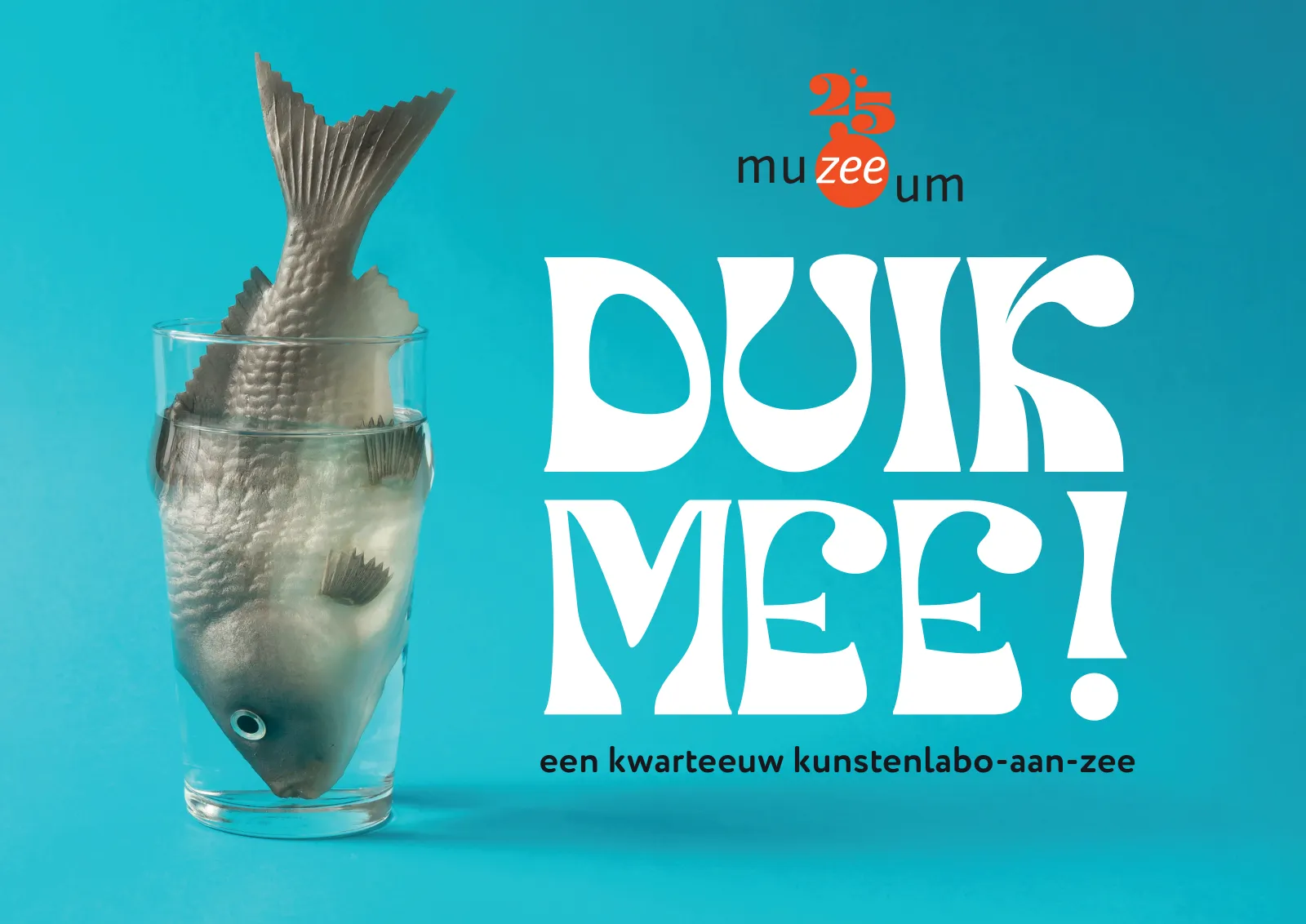 Cover van het jubileumboek